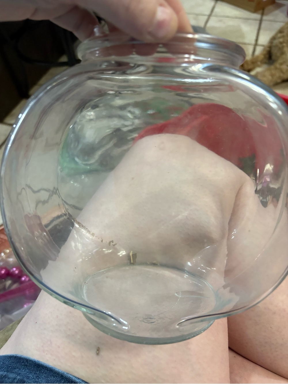 Clear Glass Fish Bowl - Transparent Glass Aquarium